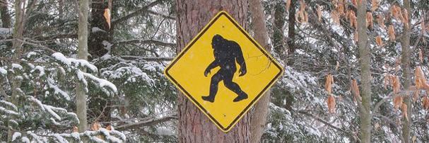 Sasquatch Manhandler banner