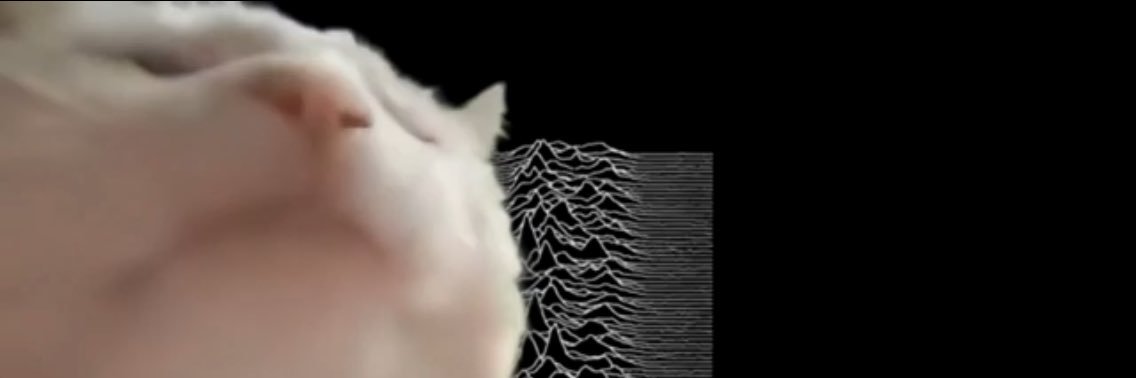 cat vibing music's banner
