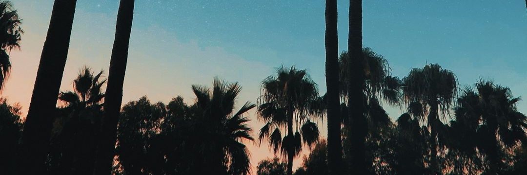 unpunkito's profile banner image