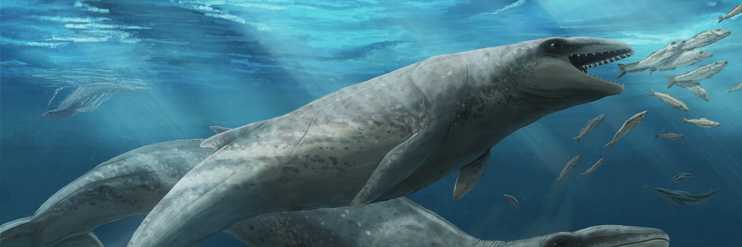 Ruairidh Duncan banner