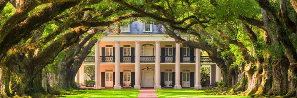 Alex Rountree banner