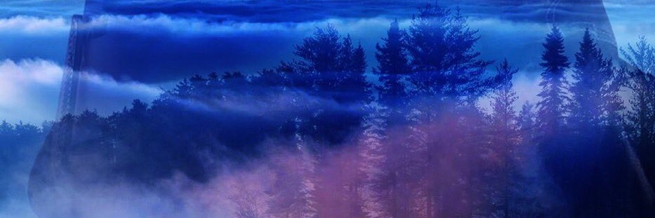 Lanico banner