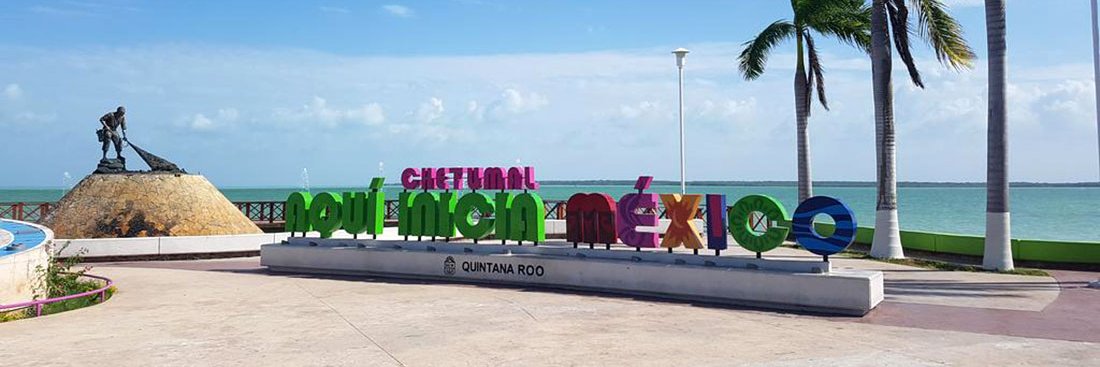 Fernando Mora Guillén banner