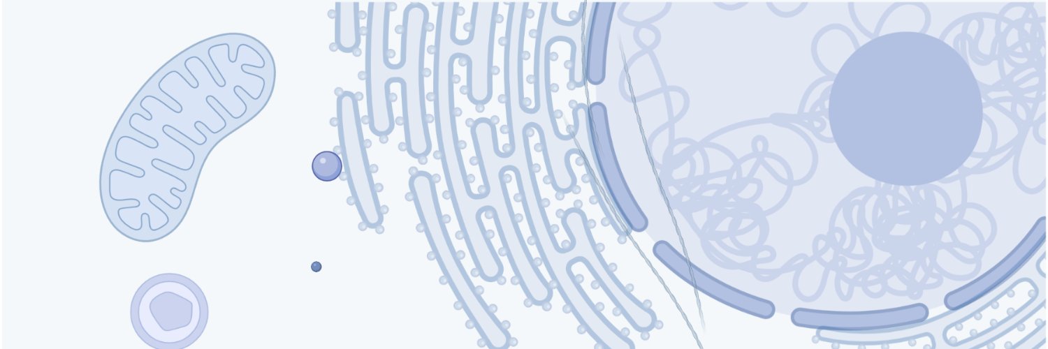 EmalyPiecuch's profile banner image