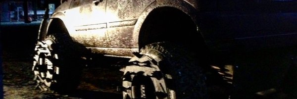 spikeinthemidge Profile Banner