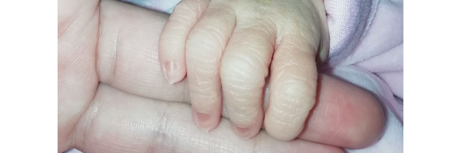 Elii_Sotto_'s profile banner image