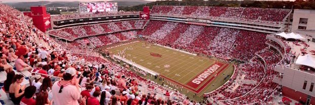 Go Hogs! banner