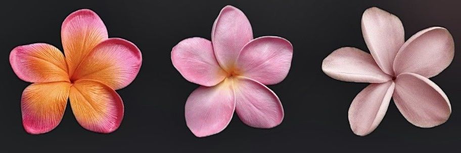 guaadalupe's profile banner image
