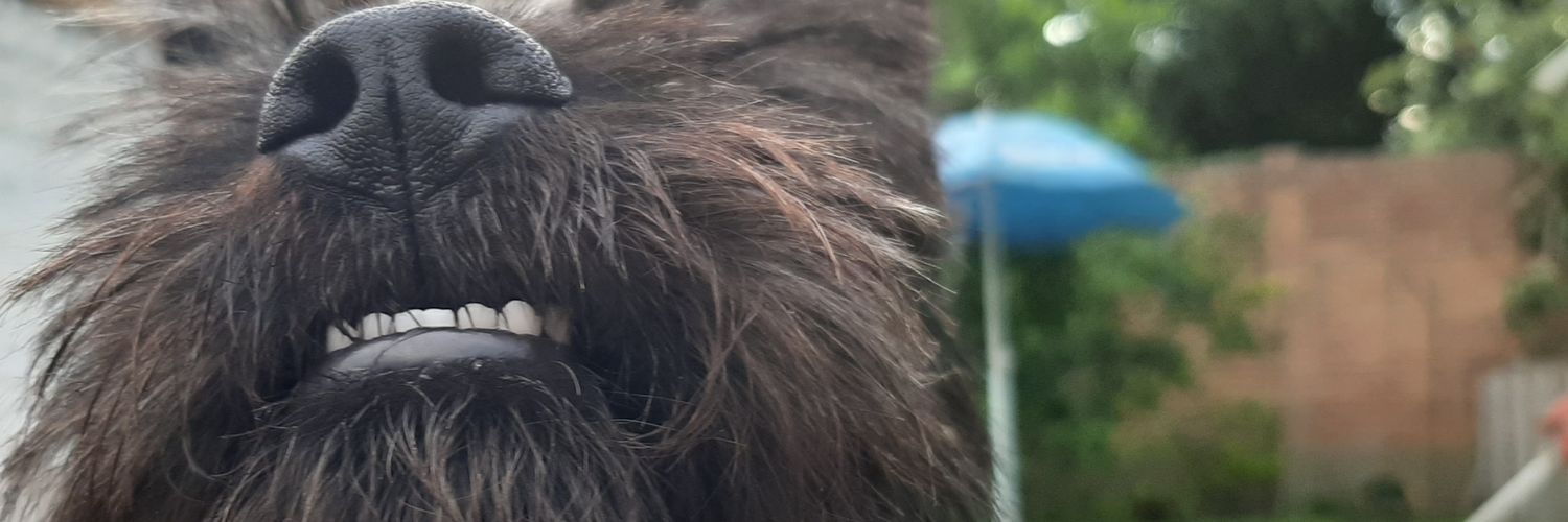 cactusdread's profile banner image