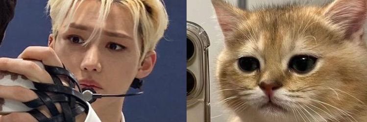 lixktty's profile banner image