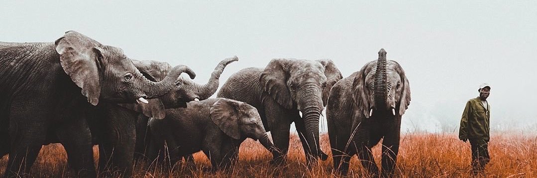 HFE.YT👁️⃤ banner