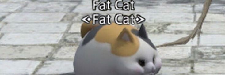 lele banner