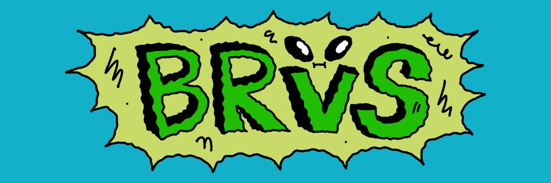 BRVS 🛸 banner