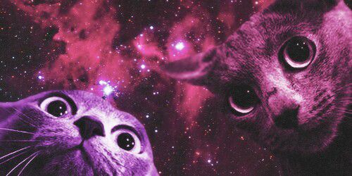 AzuF81's profile banner image