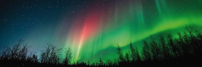 ‍ ‍ ‍ ‍ ‍ ‍ ‍ ‍ ‍ ‍ 𝗟𝗼𝘂𝗶𝘀𝗮ᅠᅠᅠ banner