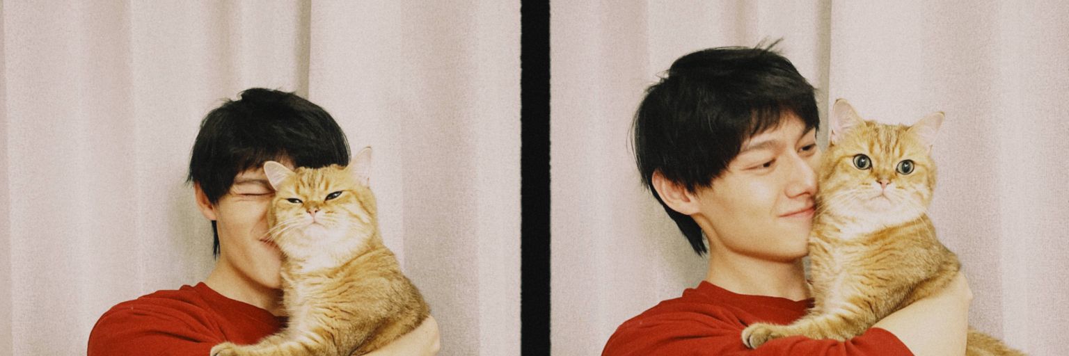 _vanneadium's profile banner image