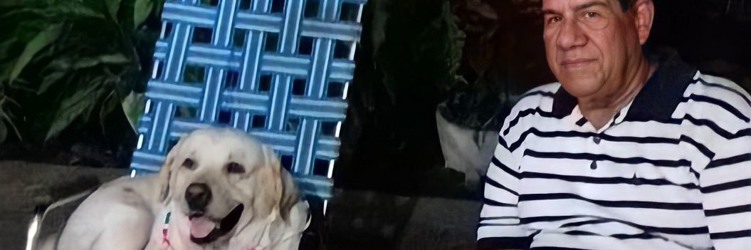 SANDRA LION banner