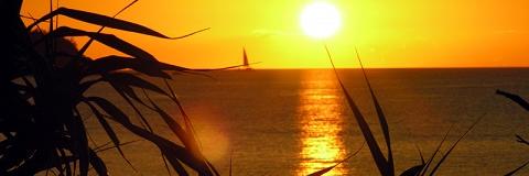 satomic_bomb's profile banner image