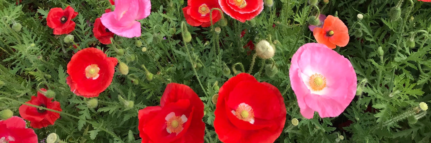 Hermines Handtasche banner