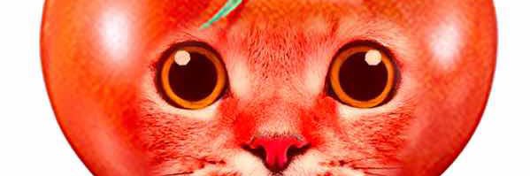 loreleinzzz's profile banner image