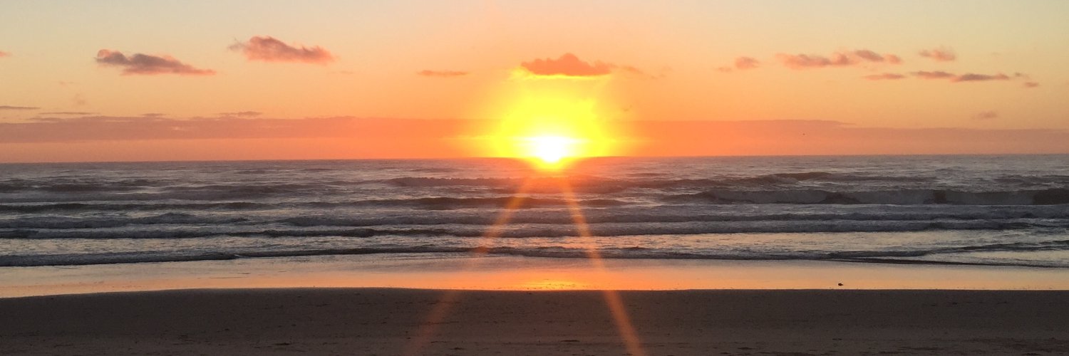 Alexandra Roddy Mitchell banner