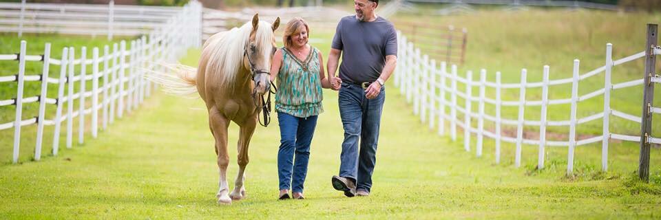 Scott Fitzgerald` banner