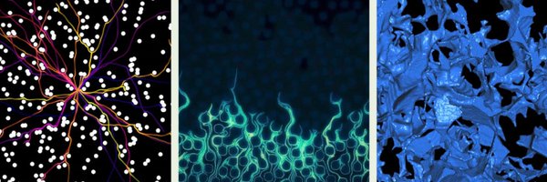 NjordUiO Profile Banner
