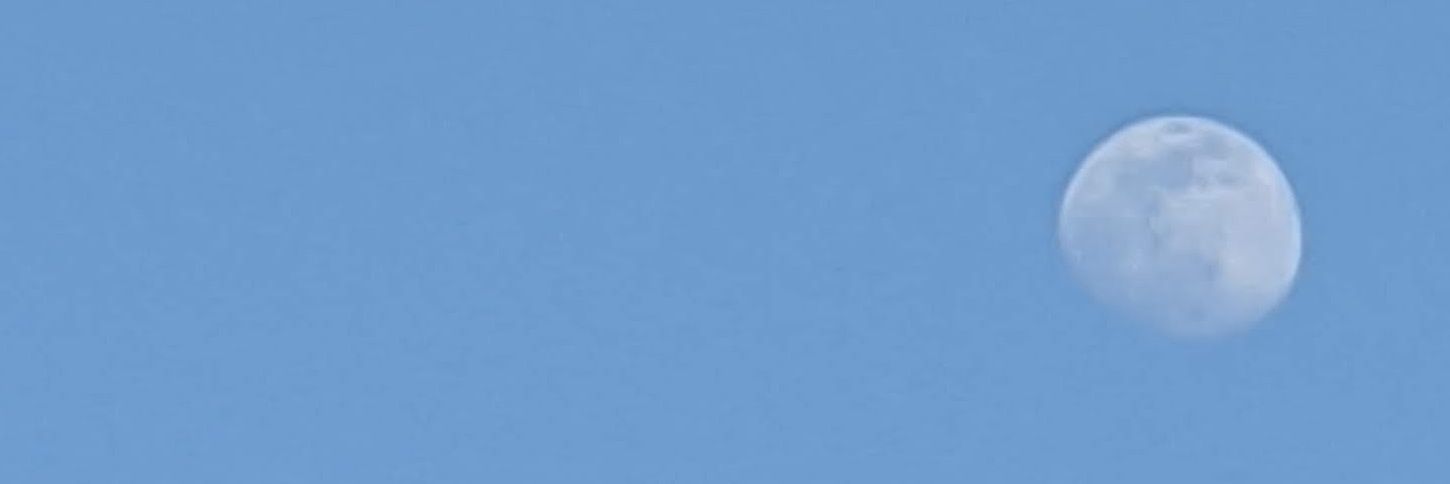 Trading_Maniac's profile banner image