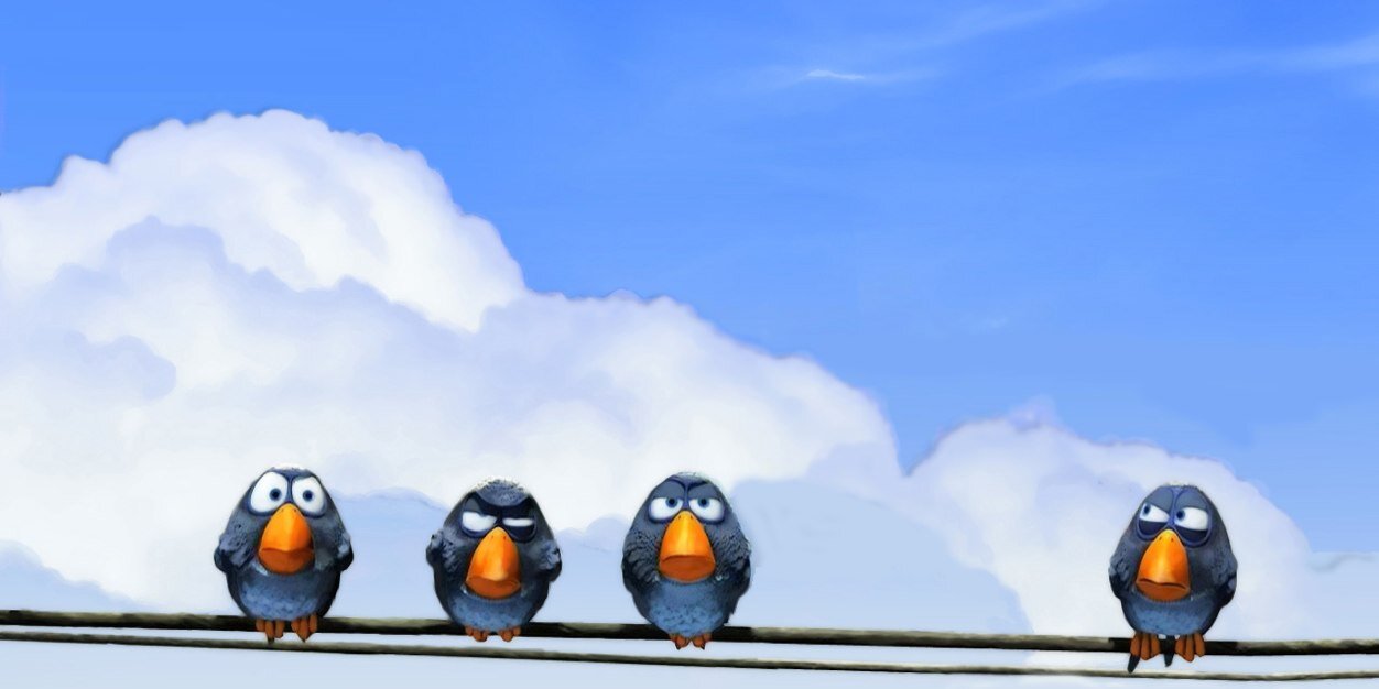 RoadToad51's profile banner image
