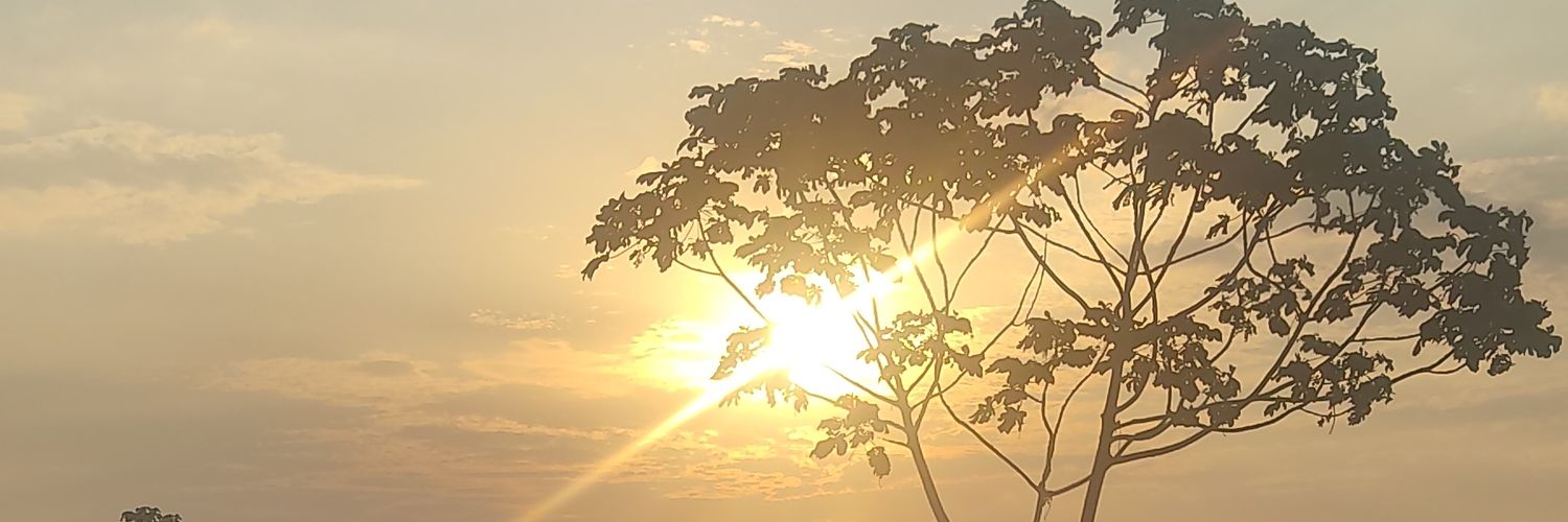 granllano's profile banner image