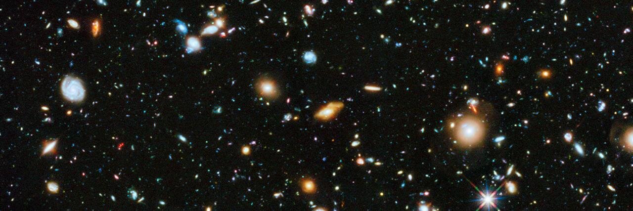 Roby Fitzhenry banner