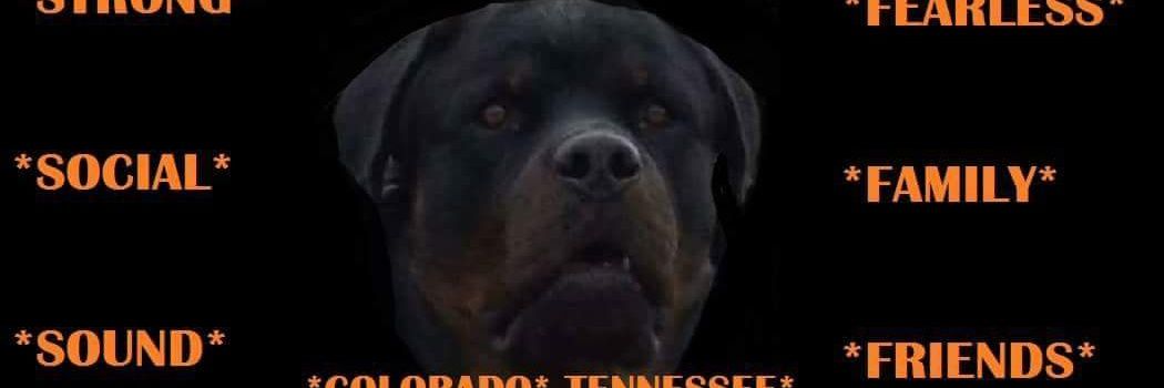 mikesand65's profile banner image