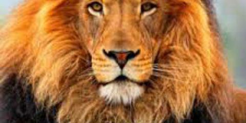 Truth_Tella_9's profile banner image
