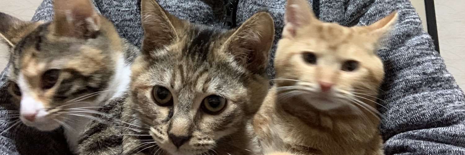 towanyanco's profile banner image