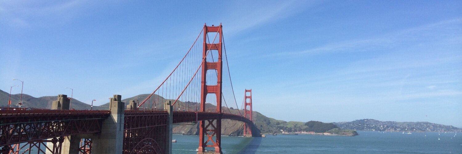 Cosmin Nicolaescu banner