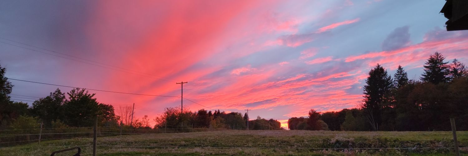 Kiantone716's profile banner image