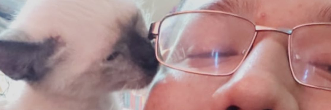 danielaarr's profile banner image