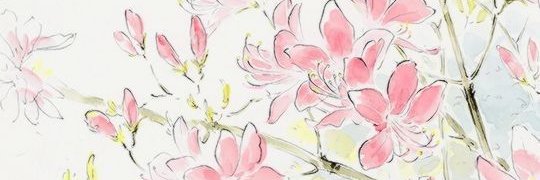 shahri ♡🇵🇸‎ banner