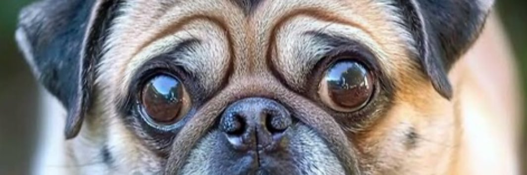 tihlaco's profile banner image