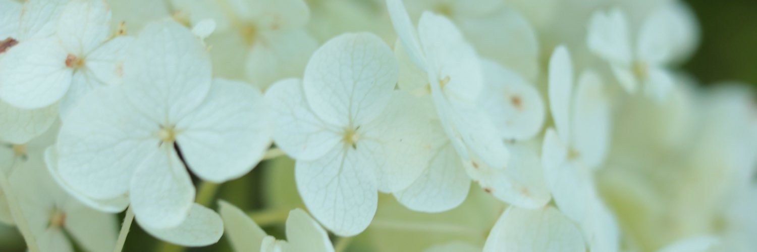 osechi611's profile banner image