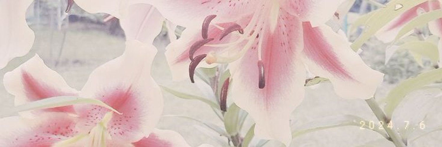 RenadAlkhalifa's profile banner image