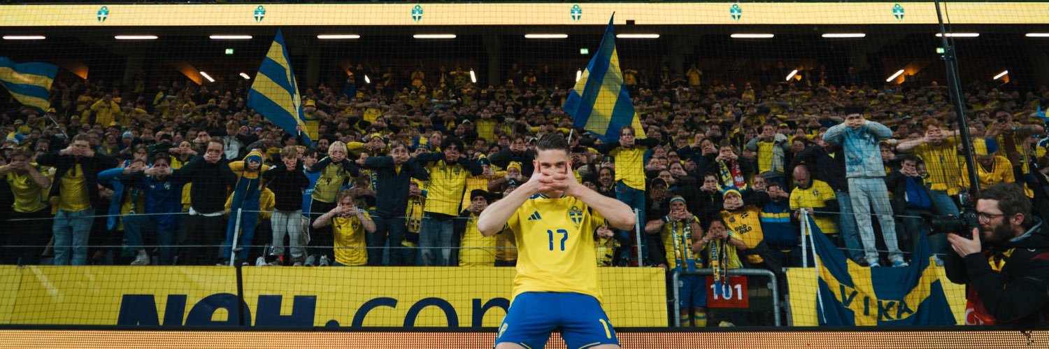 viktornuorimaa's profile banner image