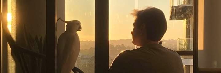 C. Renee James banner