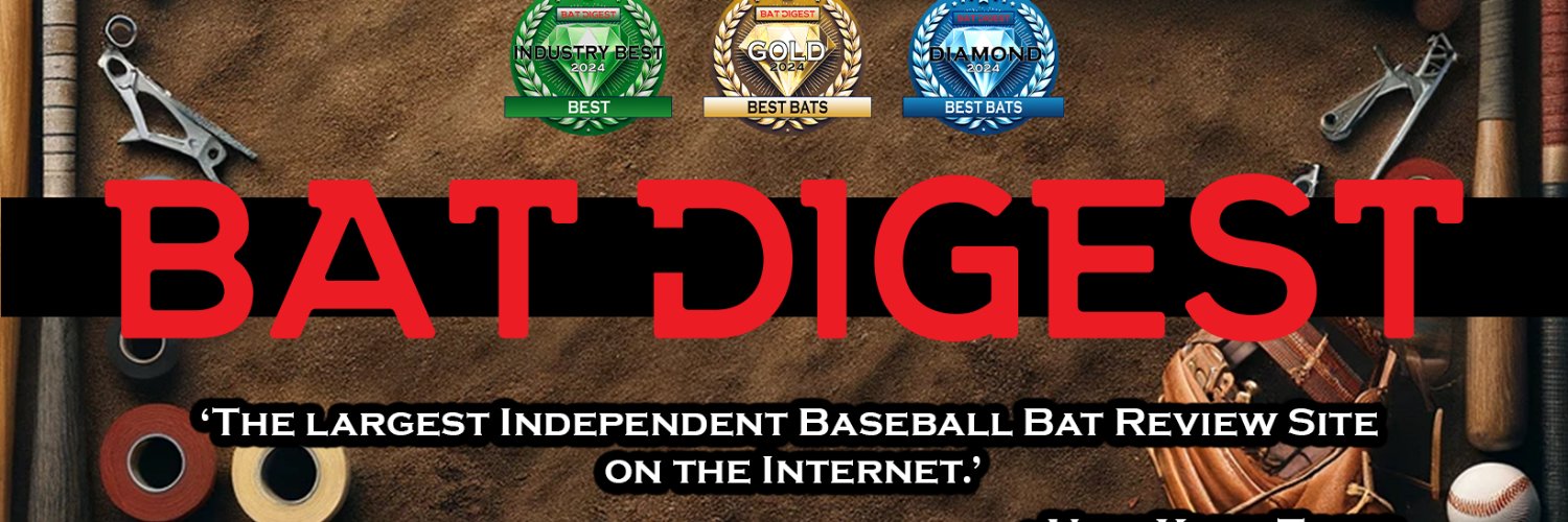 BatDigest banner