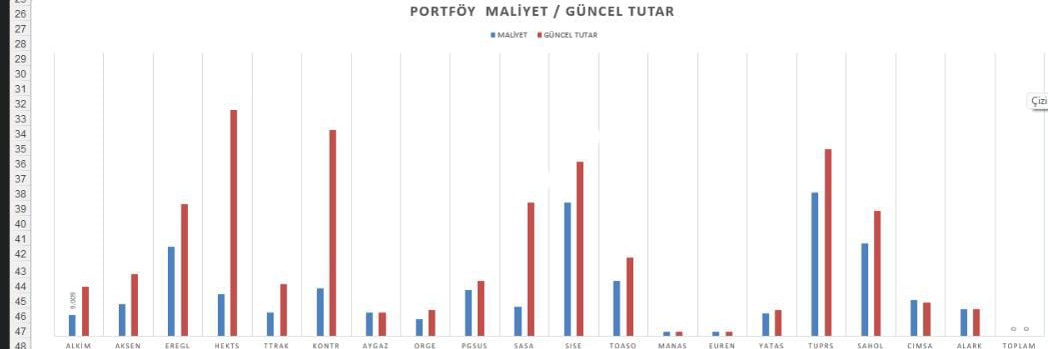 Borsacı.Dr banner