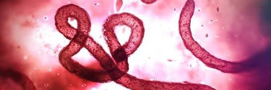 ebola of edrtwt 🦠 banner