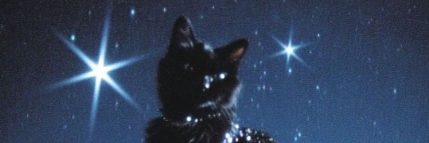 andybrainrot's profile banner image