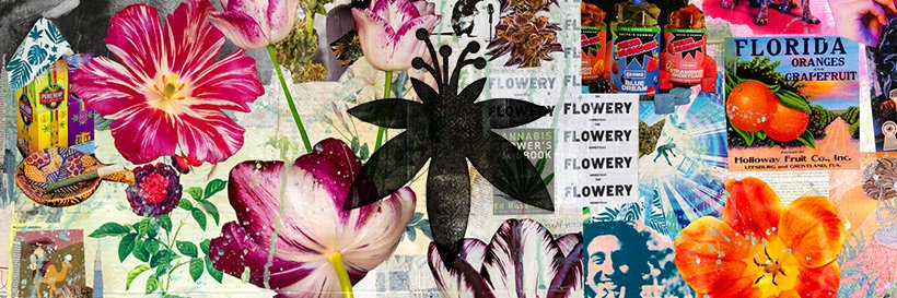 The Flowery's banner