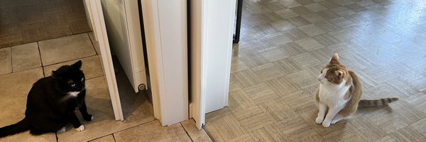 PlatinumdotT Profile Banner