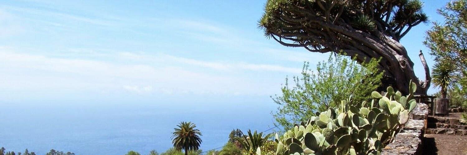 BritoDip's profile banner image